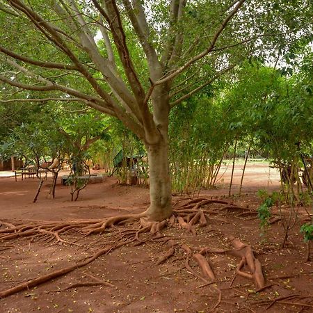 Our Native Village Gādigarpālya Exteriör bild