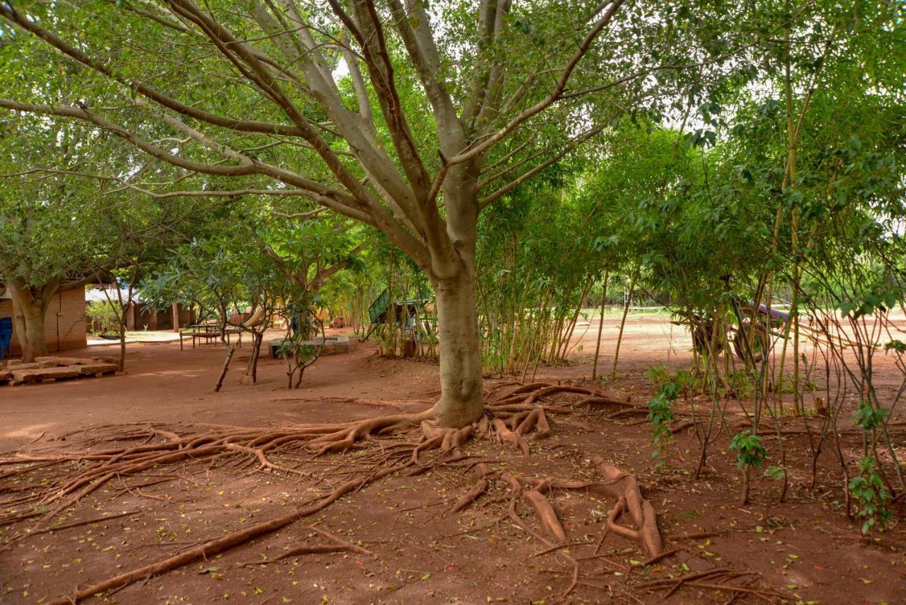 Our Native Village Gādigarpālya Exteriör bild